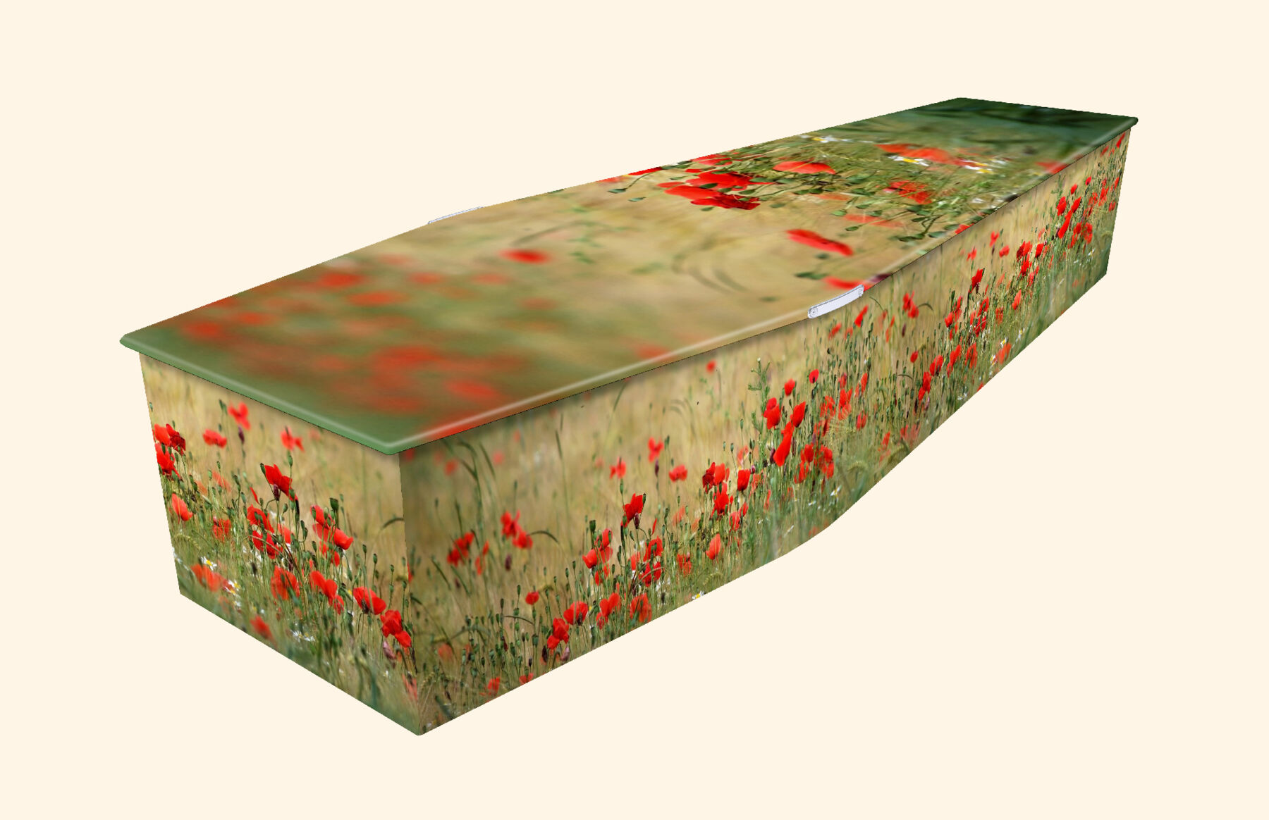 Poppy_Meadow.jpg